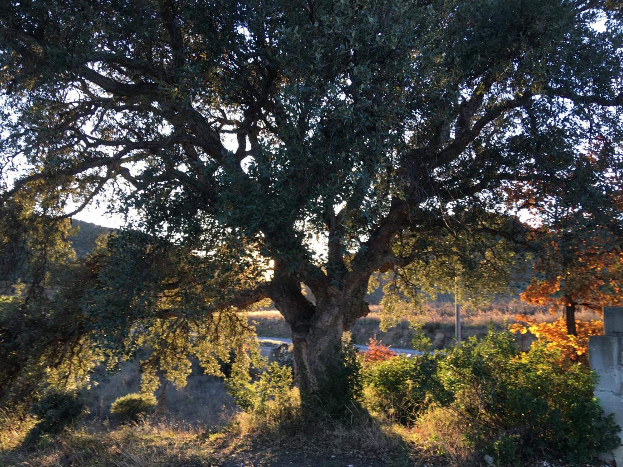 Coeur De Nature Rasigueres Luaran gambar